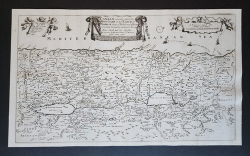 Grande antica mappa - , blome